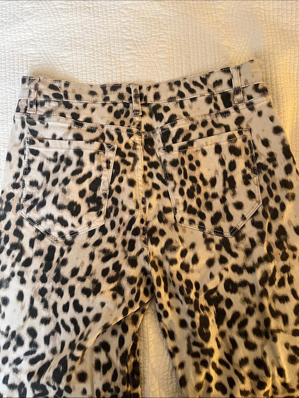 Kensie Black Leopard Print Jeans on Cream - Picture 2 of 4